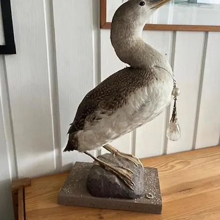 Summer House With Orangery In *