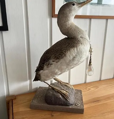 Summer House With Orangery In Agger Feriehus